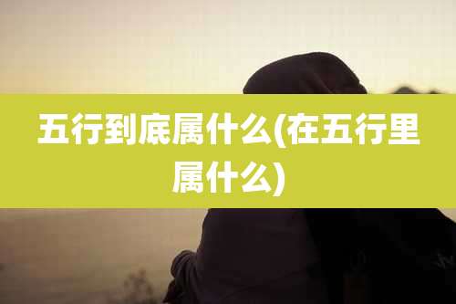 五行到底属什么(在五行里属什么)
