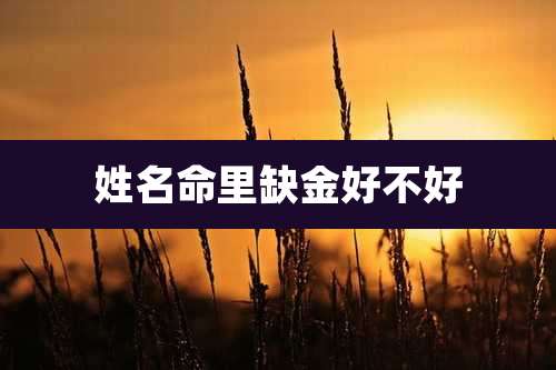 姓名命里缺金好不好