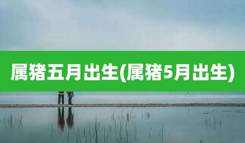 属猪五月出生(属猪5月出生)