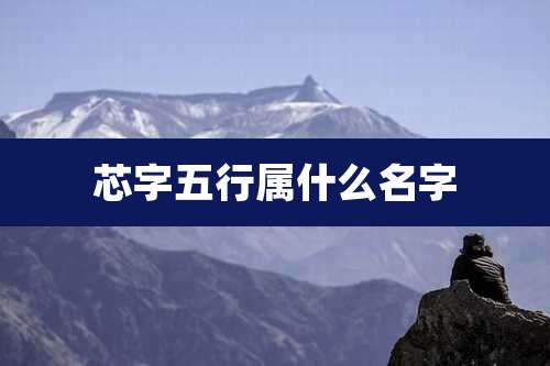 芯字五行属什么名字