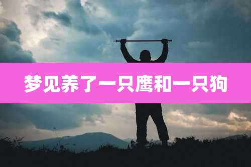 梦见养了一只鹰和一只狗