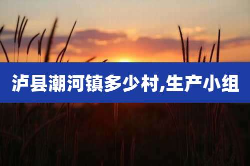 泸县潮河镇多少村,生产小组
