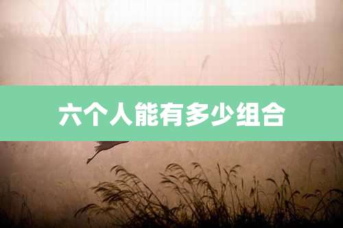 六个人能有多少组合
