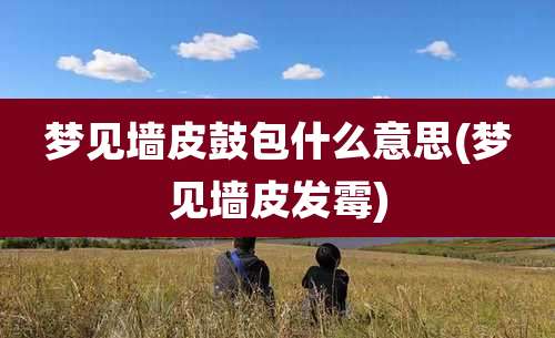 梦见墙皮鼓包什么意思(梦见墙皮发霉)