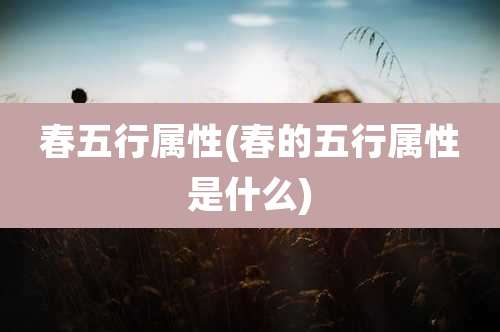 春五行属性(春的五行属性是什么)