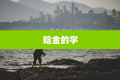 晗金的字