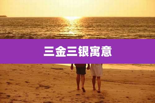 三金三银寓意
