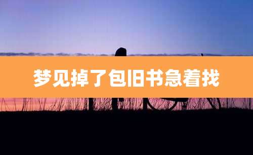 梦见掉了包旧书急着找
