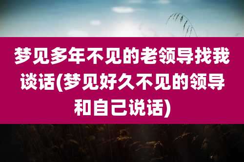 梦见多年不见的老领导找我谈话(梦见好久不见的领导和自己说话)