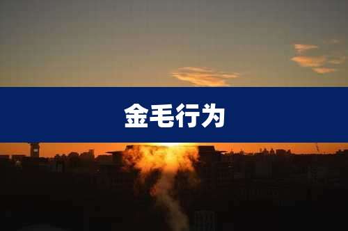 金毛行为