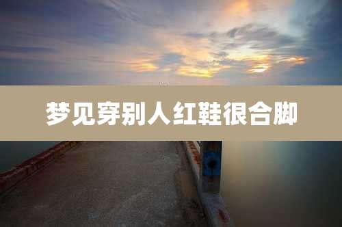 梦见穿别人红鞋很合脚