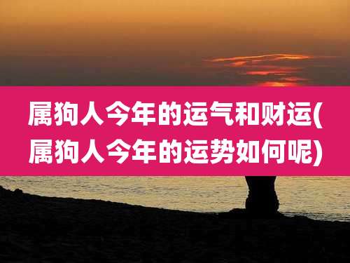 属狗人今年的运气和财运(属狗人今年的运势如何呢)