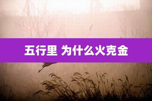 五行里 为什么火克金