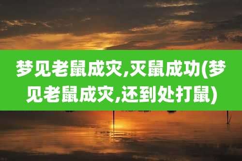 梦见老鼠成灾,灭鼠成功(梦见老鼠成灾,还到处打鼠)