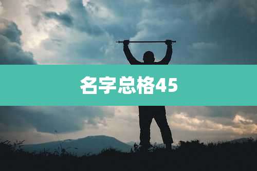 名字总格45