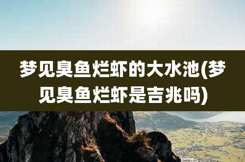 梦见臭鱼烂虾的大水池(梦见臭鱼烂虾是吉兆吗)