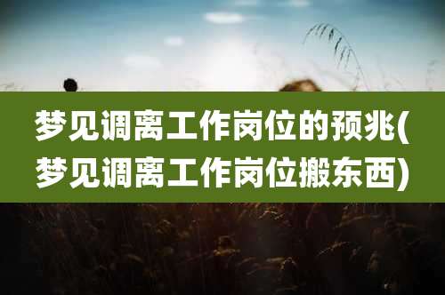 梦见调离工作岗位的预兆(梦见调离工作岗位搬东西)