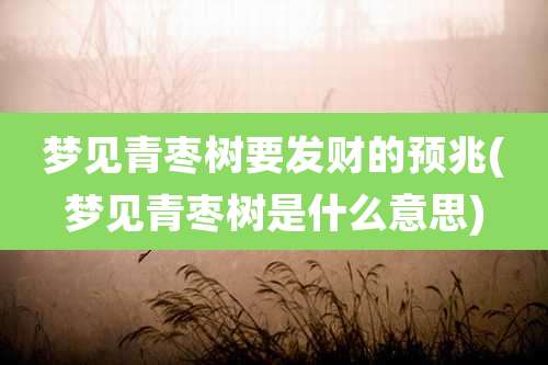 梦见青枣树要发财的预兆(梦见青枣树是什么意思)