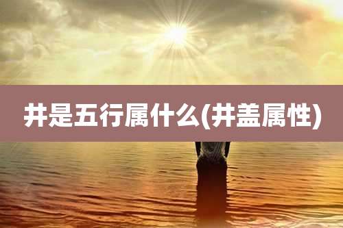 井是五行属什么(井盖属性)