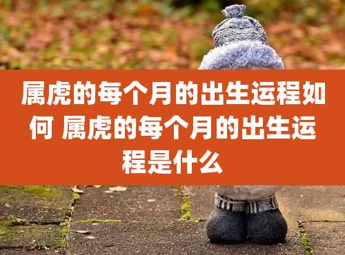 属虎的每个月的出生运程如何 属虎的每个月的出生运程是什么