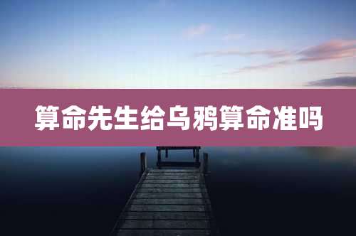 算命先生给乌鸦算命准吗