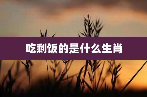 吃剩饭的是什么生肖