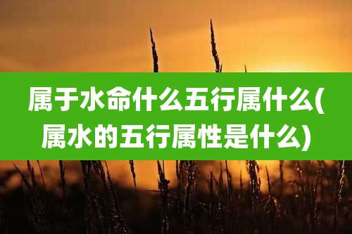 属于水命什么五行属什么(属水的五行属性是什么)