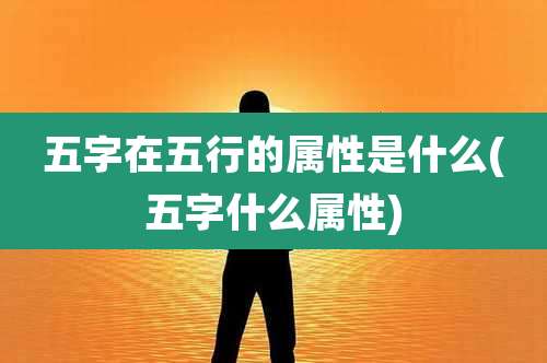 五字在五行的属性是什么(五字什么属性)