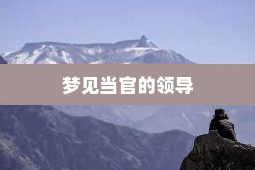 梦见当官的领导
