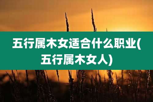 五行属木女适合什么职业(五行属木女人)