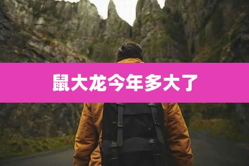 鼠大龙今年多大了