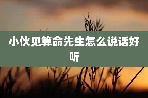 小伙见算命先生怎么说话好听