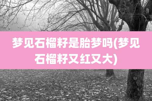 梦见石榴籽是胎梦吗(梦见石榴籽又红又大)