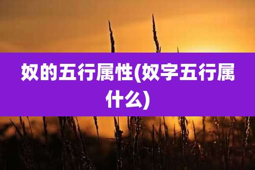 奴的五行属性(奴字五行属什么)