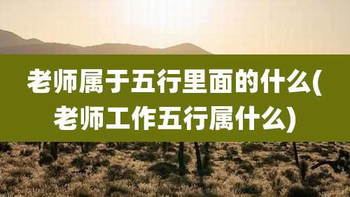 老师属于五行里面的什么(老师工作五行属什么)