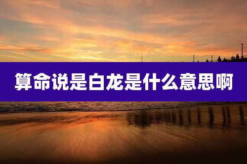 算命说是白龙是什么意思啊