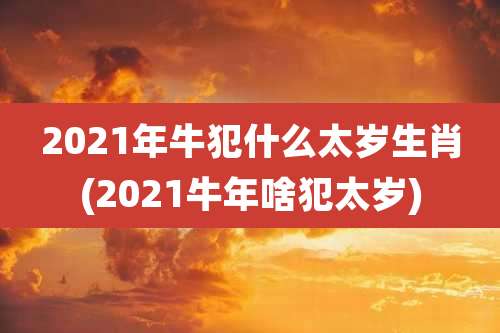 2021年牛犯什么太岁生肖(2021牛年啥犯太岁)