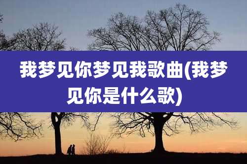 我梦见你梦见我歌曲(我梦见你是什么歌)