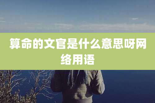 算命的文官是什么意思呀网络用语