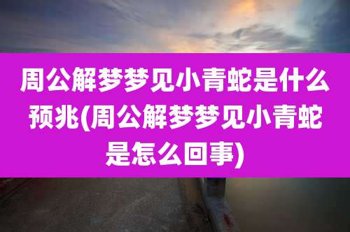周公解梦梦见小青蛇是什么预兆(周公解梦梦见小青蛇是怎么回事)