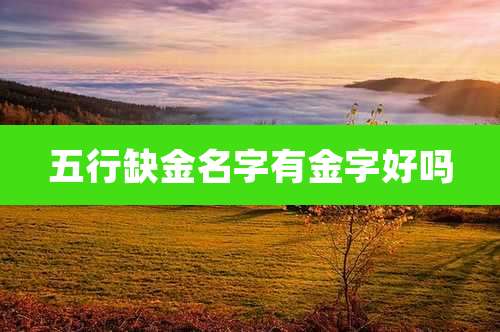 五行缺金名字有金字好吗