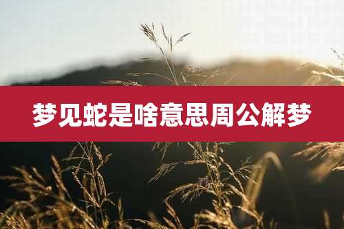 梦见蛇是啥意思周公解梦