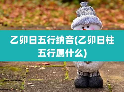 乙卯日五行纳音(乙卯日柱五行属什么)