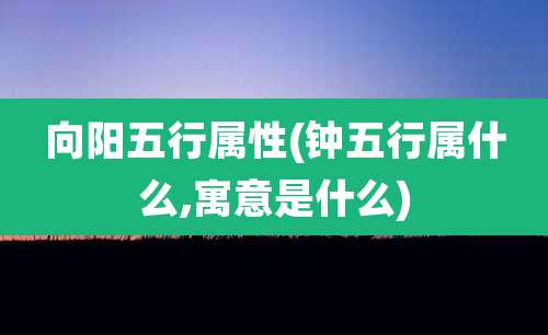 向阳五行属性(钟五行属什么,寓意是什么)