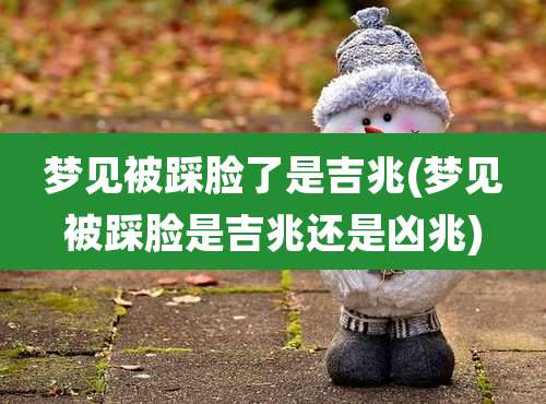 梦见被踩脸了是吉兆(梦见被踩脸是吉兆还是凶兆)