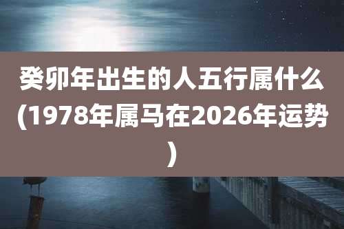 癸卯年出生的人五行属什么(1978年属马在2026年运势)