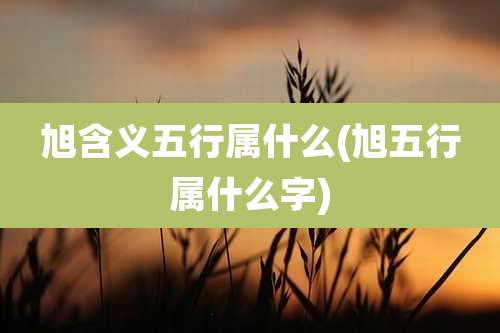 旭含义五行属什么(旭五行属什么字)
