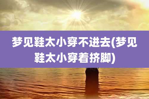 梦见鞋太小穿不进去(梦见鞋太小穿着挤脚)