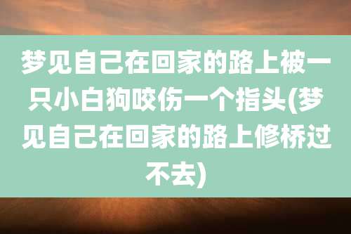 梦见自己在回家的路上被一只小白狗咬伤一个指头(梦见自己在回家的路上修桥过不去)