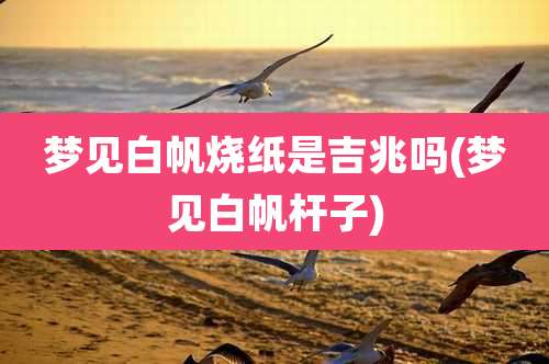 梦见白帆烧纸是吉兆吗(梦见白帆杆子)
